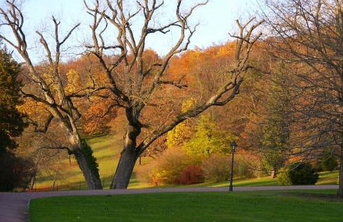 holiday home in the Thuringian Forest with roof - Foto 31