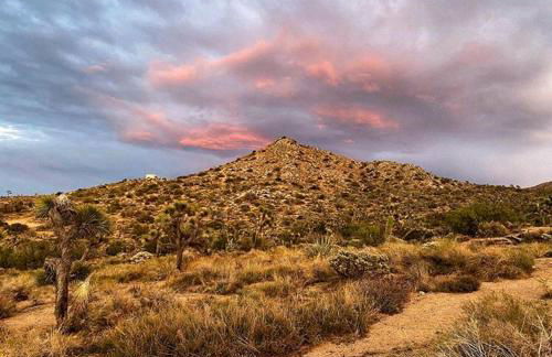 Charming Yucca Valley Cabin Rental for Getaways in California - Foto 12