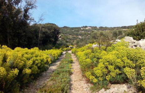 Casula Mediterranea - Foto 34