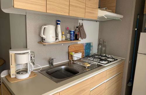 Le parc des roselieres 40 Saint Hilaire de Riez - Foto 15