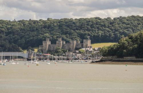 The Mooring Deganwy - Photo 6