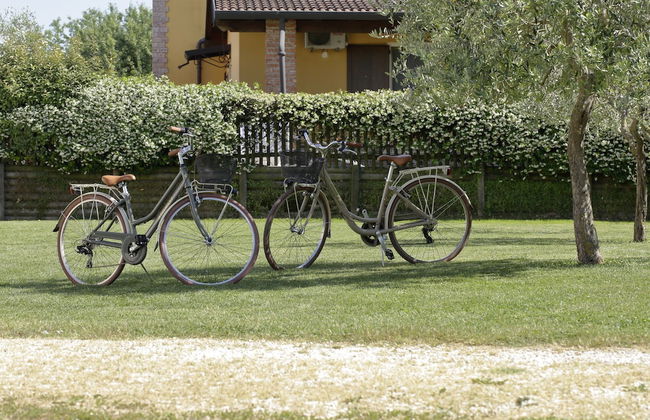 Agriturismo Da Giovanni - Foto 67