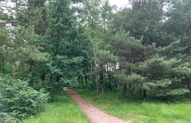 Cozy Bungalow With a Nice Sauna, 3 km. From Putten - Photo 36