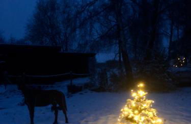 Pfaffensteghof - Foto 19