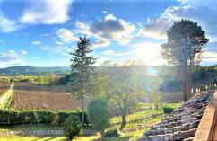 Agriturismo Comparone Casavecchia - Photo 37