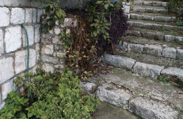 Apartments by the sea Babine Kuce, Mljet - 611 - Photo 7