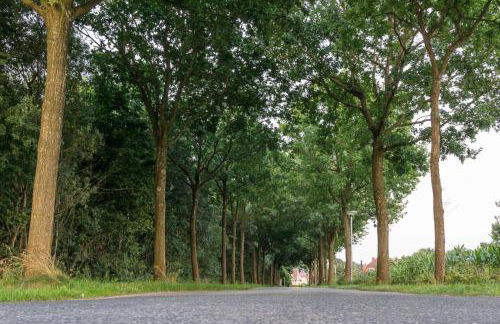 Ferienwohnung Tammen - Foto 19