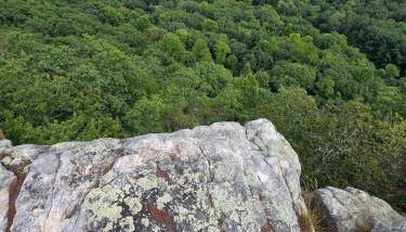 Lula Lake Cabin - Foto 2