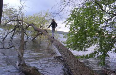 Villa "Schöni" - Foto 31