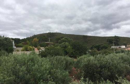 Slow house d'encosta - Foto 39