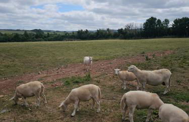 Rural Escape and Dog Friendly - Photo 29