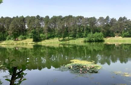 T2 Cosy, agréable fonctionnel et douillet, 1 lit 140 et un BZ , Wifi gratuit, boîte à clés, proche commerces et gare routière - Foto 13