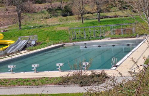 Les Papillons - Foto 14