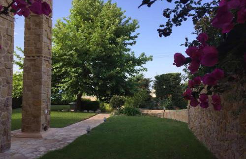 Platanus Gardenhouse - Foto 18