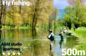 A&M studio apartman - Foto 27