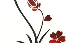 Casa Giantur - Foto 1