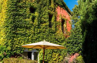 Wine Tourism - Quinta do Ameal - Foto 17