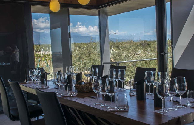 Tour privado pelas adegas do Vale do Uco - Foto 5