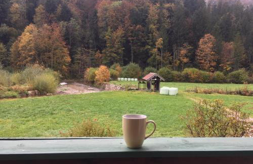 Hammerhaus-Apartment 3 - Foto 15