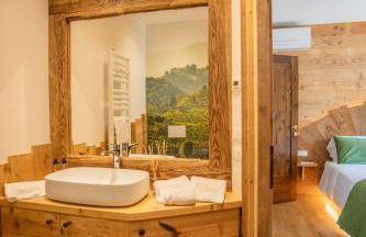 GATTO IN VIGNA - Foto 28