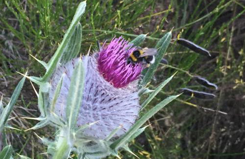 El Invernal de Picos - Photo 74