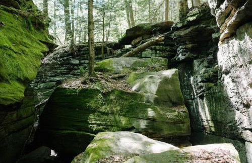 Cuyahoga Valley NP, Dog Friendly, Boston Mills Ski - Foto 8