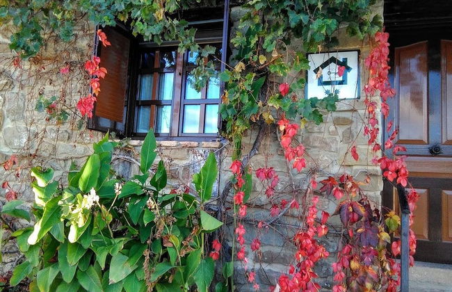 La Cañada - Foto 50