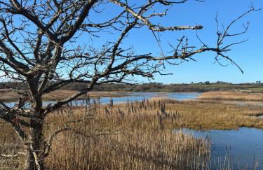 Cosy Cabins at Westfield Farm, Isle of Wight - Photo 62