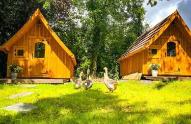 Eifelhüttchen Rotkehlchen - Foto 3