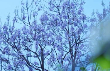 Apartment OTTO II - Erfurt Zentrum - Photo 5