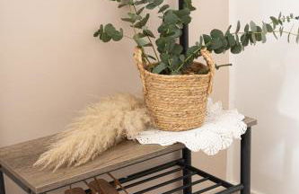 Guest house Oplonti Central - Photo 18