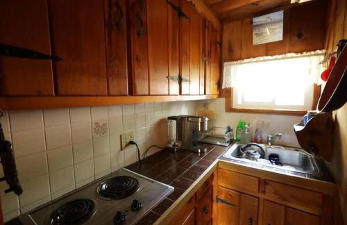 Adirondack Waterfront Cabin Upper Hudson Tributary - Foto 50