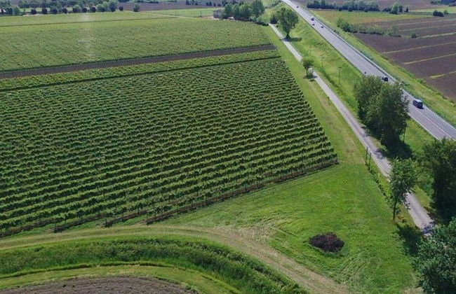 Agriturismo Le Cipressine - Photo 85