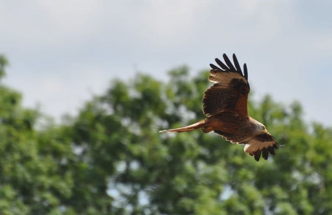 Beautiful 3 Bedroomed Cotswolds Farmhouse - Photo 20