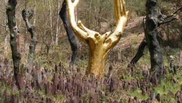 Mobil home au coeur de Brocéliande - Foto 5