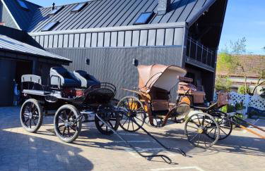 Vigor Horses - Foto 8