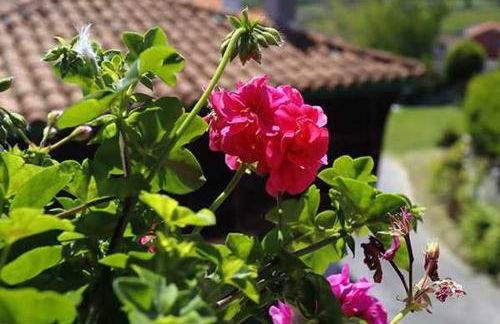 Casa Rural La Tayuela - Foto 19