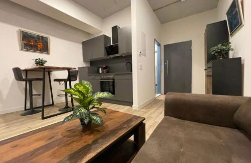 Goldstadt Comfort Suite - City Apartment Schlössle - Foto 69