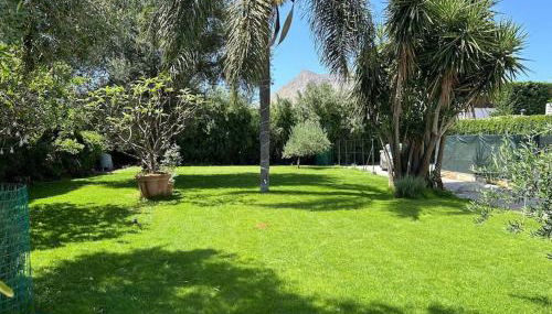 Villa Lucia - Foto 2, Garden