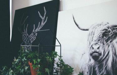 Willa Piwniczka Apartament Jahlowej - Foto 14