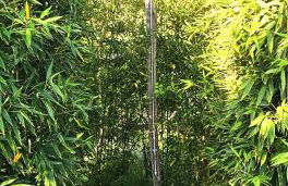 Lemonvilla - Rustico in Panoramalage - Foto 36