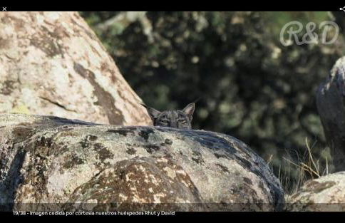 La Isabelita - Foto 15