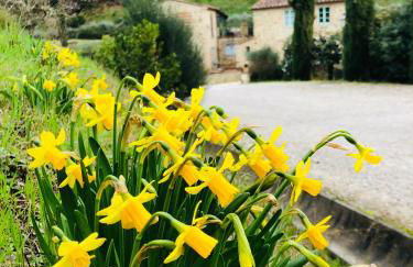 Il Borghetto Andrea Tafi - Foto 78