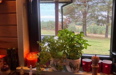 wietrznie-wichrowe wzgórze - Foto 72