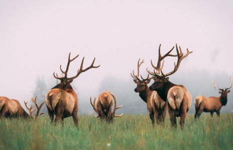 Surfside Beach House near Ancient Redwoods - Foto 49