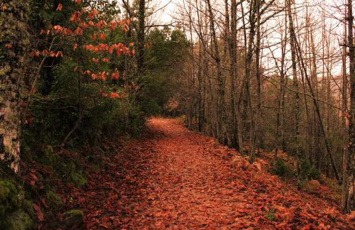 Casa de la Parra - Foto 18