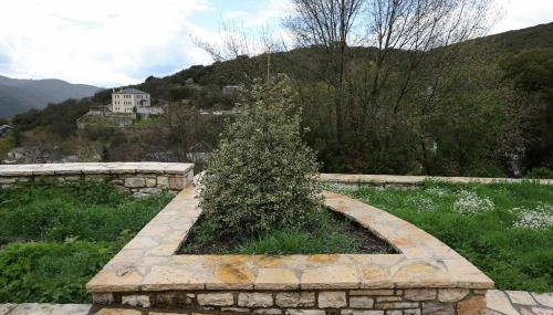 Alexandros private house - Foto 2, Garden view