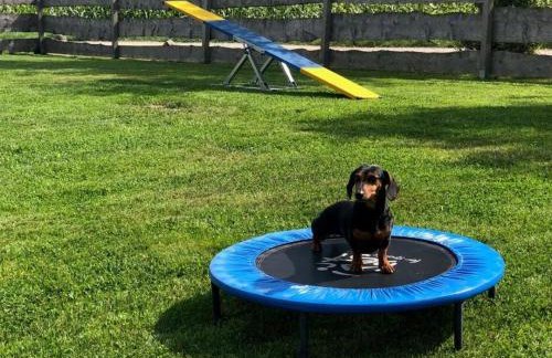 Ferienhaus S`bunde Heisle - Foto 4