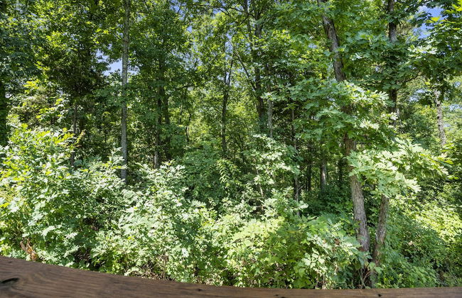 Tiny Houses of French Village - Photo 59