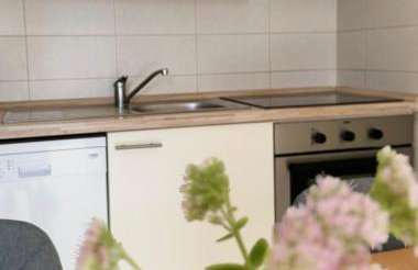 Apartment Roky - Foto 15